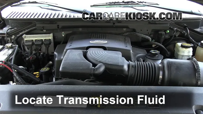 2004 Ford Expedition XLT 5.4L V8 Transmission Fluid Check Fluid Level